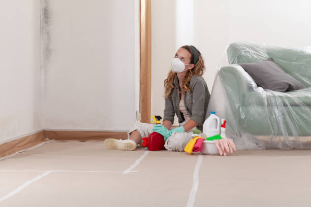 Reliable Black Mold Removal contractor in Gibbsboro, NJ by WQB Mold Removal